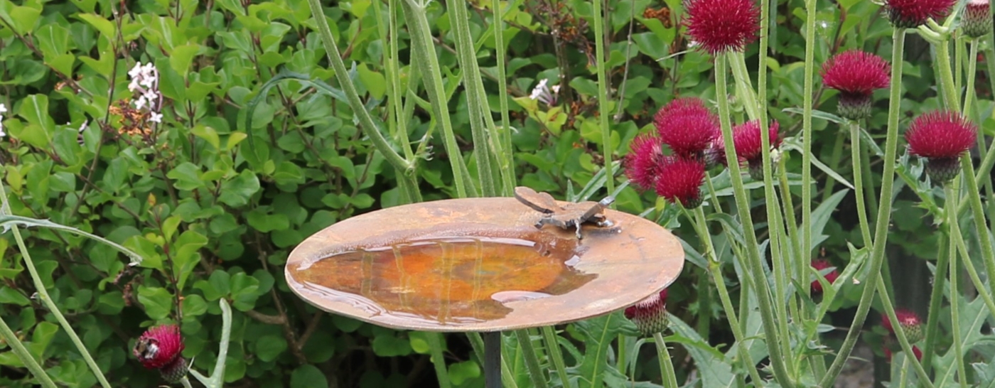 Visit our Online Shop to see our full range of garden decorations