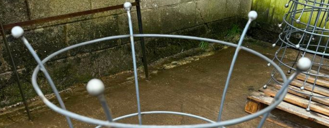 Bespoke plant supports