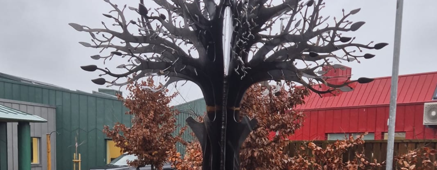 Alfreton School Tree
