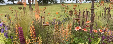 The Bearded Botanist Gold award winning 