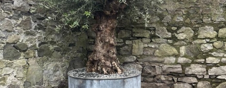 Large galvanised planter