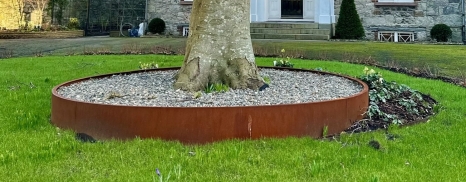 Corten Tree Ring