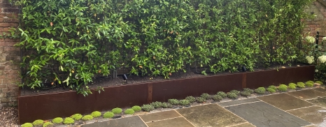 Large planter with inbuilt trellis